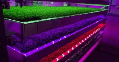 Image of vertical farming