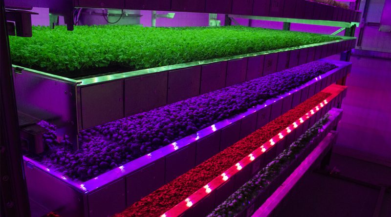 Image of vertical farming