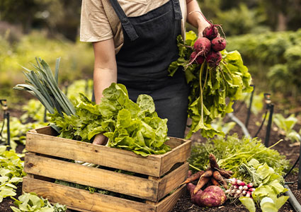 Self sufficient gardening tasks in a collage photo.