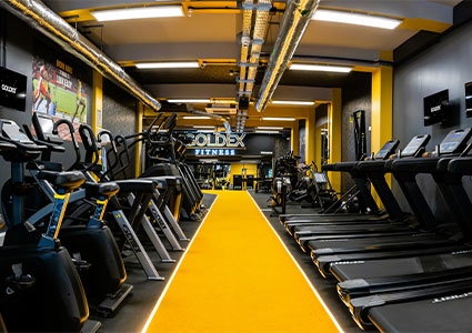 rows of exercise equipment