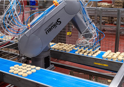 Robot on biscuit production line