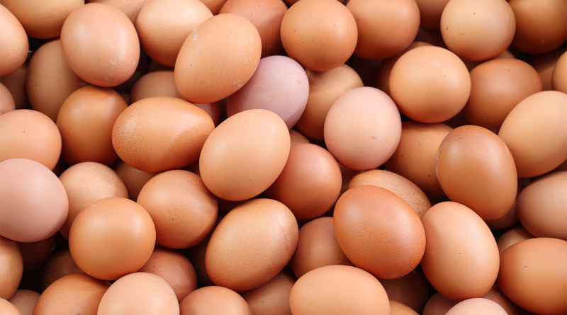 Various different eggs to support Milo’s Poultry Farms egg recall article