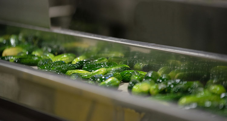 Tray of green pickles