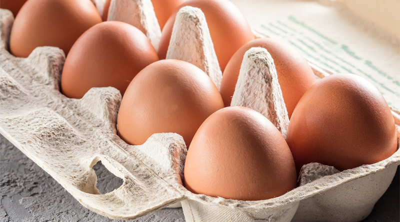 Eggs in egg box to support prices increase article