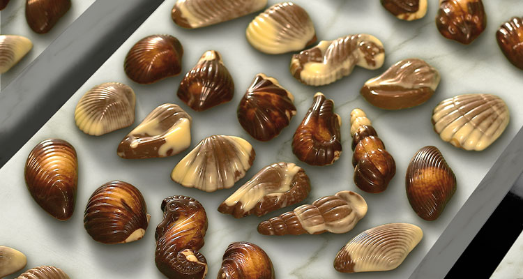 Seashells shaped chocolates