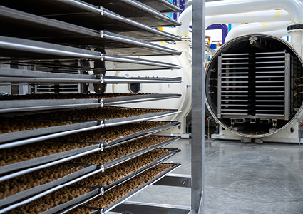 an industrial vacuum freeze-drying machine
