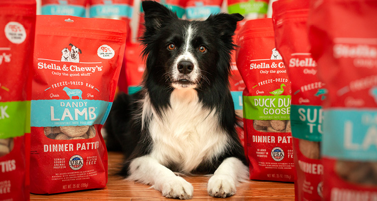 a dog in the image is sitting in front of several bags of Stella & Chewy's freeze-dried raw dog food