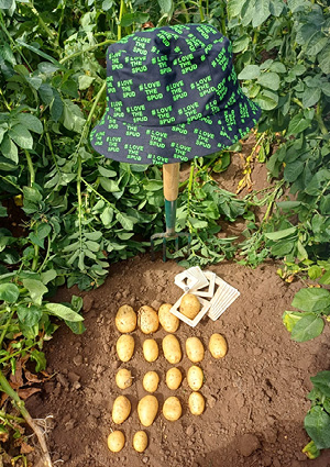a Linwood Crops Ltd black bucket hat with green text reading "#LOVE THE SPUD".