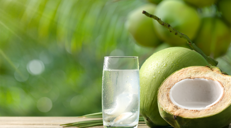 Cool coconut juice with coconut plant background