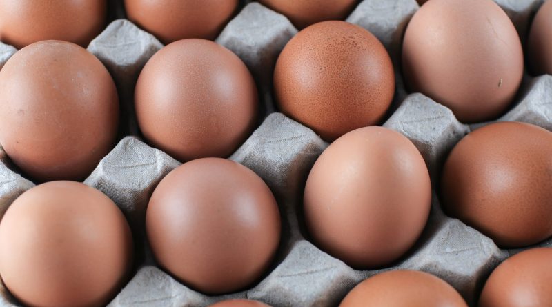 Cartons of eggs displayed in a grocery store, illustrating the impact of rising egg prices and the DOJ investigation into alleged price manipulation.