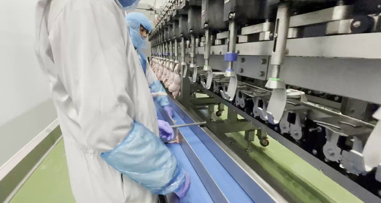 workers on an automated food processing assembly line, likely inside a poultry or meat processing facility