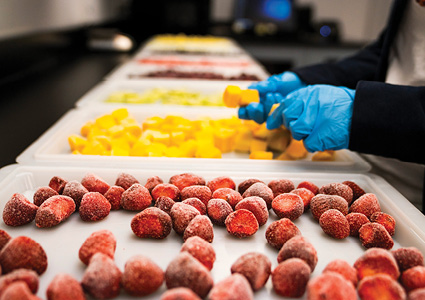  individually quick-frozen (IQF) fruit being sorted and processed in a food production facility
