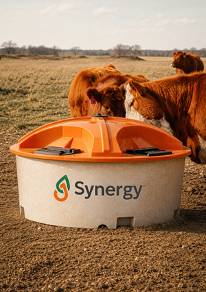 a Westway Feed Products Synergy® liquid mineral feeder station set in a pasture with beef cattle
