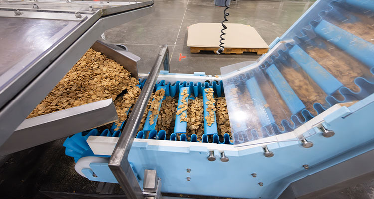 an industrial conveyor system sorting or moving small food items