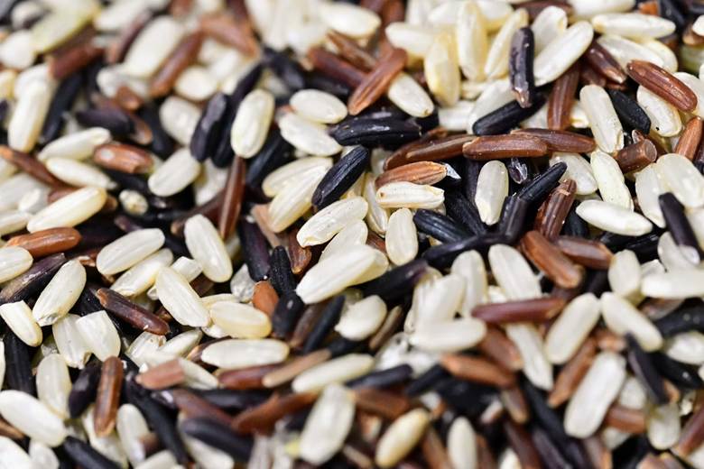 close up of a variety of different grains