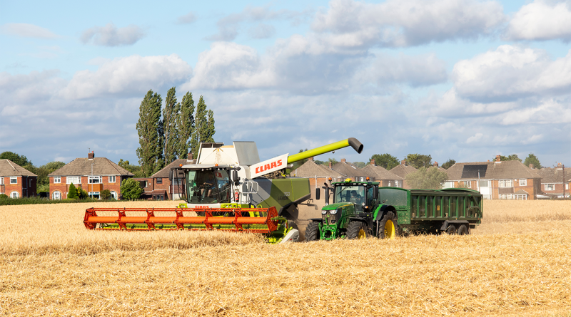 Wheat harvesting in the summer season by a modern combine harvester.