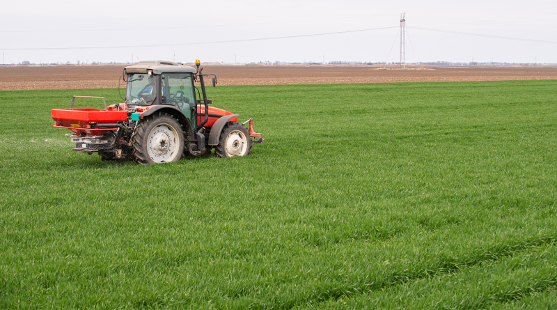 Tractor spreading artificial fertilizers