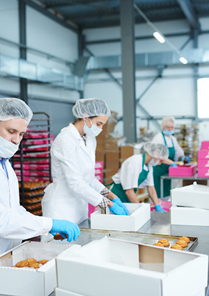workers packing freshly baked pastries into cardboard boxes in a food manufacturing facility