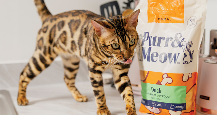 Bengal cat walking on a light-colored kitchen countertop next to a large bag of cat food.