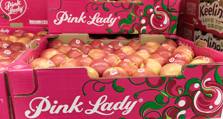 several pink cardboard boxes filled with Pink Lady apples on display