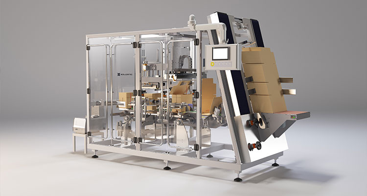 an automatic wrap-around case packer